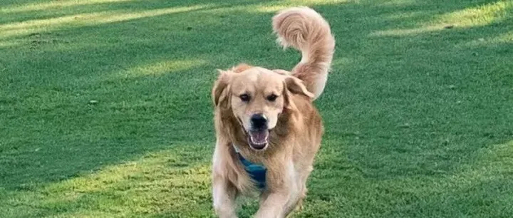 分享一個(gè)非洲出海案例！