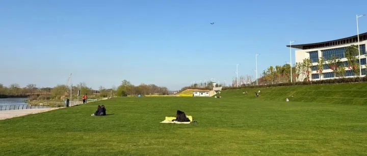 工作流程化，才能提高效率