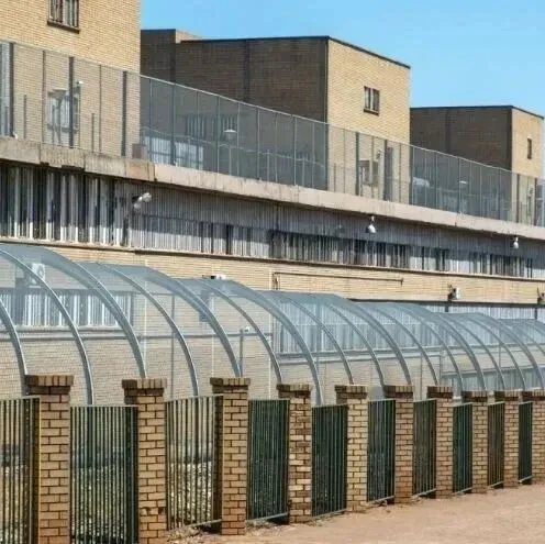 南非監(jiān)獄成詐騙溫床：囚犯在獄中遠(yuǎn)程行騙