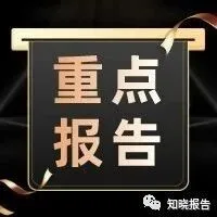 桌面機器人行業(yè)發(fā)展與消費需求洞察報告（附下載）