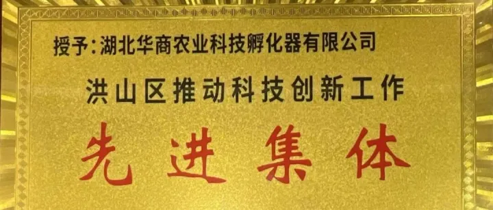集團(tuán)動(dòng)態(tài) | 華商孵化器獲評(píng)洪山區(qū)科技創(chuàng)新先進(jìn)集體