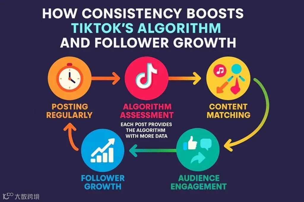 風(fēng)險(xiǎn)與合規(guī)邊界：哪些做法應(yīng)避免