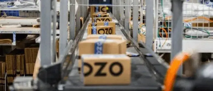 2026必看俄罗斯Ozon大类目：这6大类好做不内卷