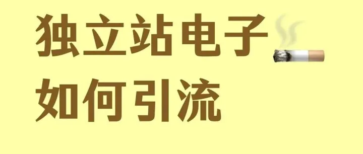特殊垂类独立站怎么玩？这波操作，够稳