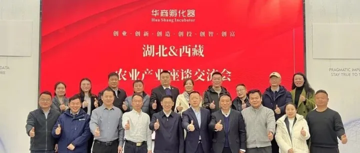 <em>山南</em>市委副書記羅棟梁調(diào)研華商孵化器