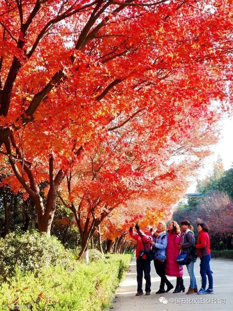 3aIMG_20171205 (21)_调整大小.jpg