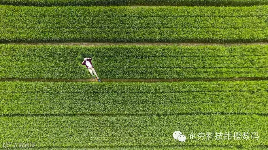 A drone's perspective of Xiwei Reservoir, Zoucheng, Shandong, China