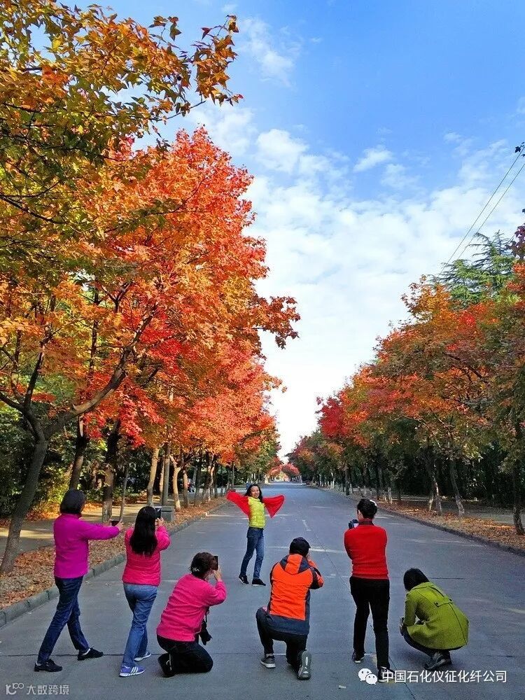 6aIMG_20171111 (87)副本_调整大小.jpg