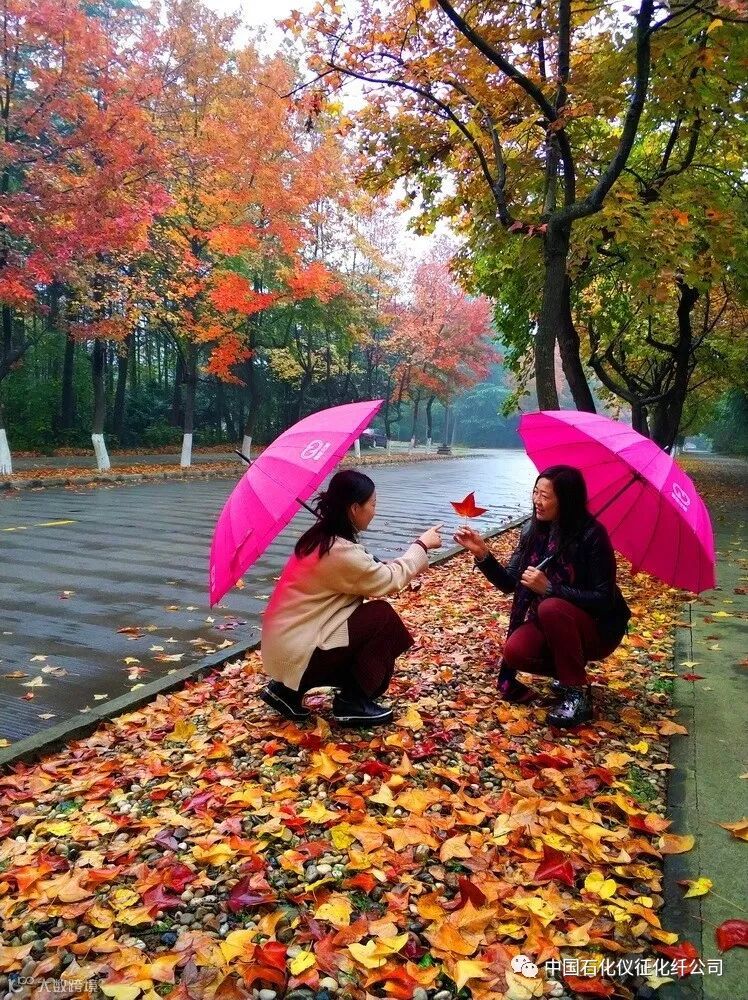 6aIMG_20171117 (130)副本_调整大小.jpg