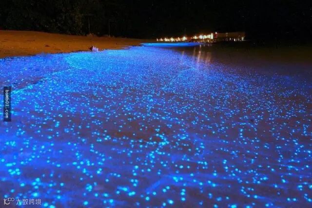 不必经过PS修图就足以让大家都赞叹的现实照片