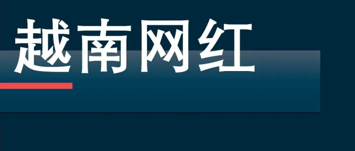 越南最新头部 KOL 矩阵与受众