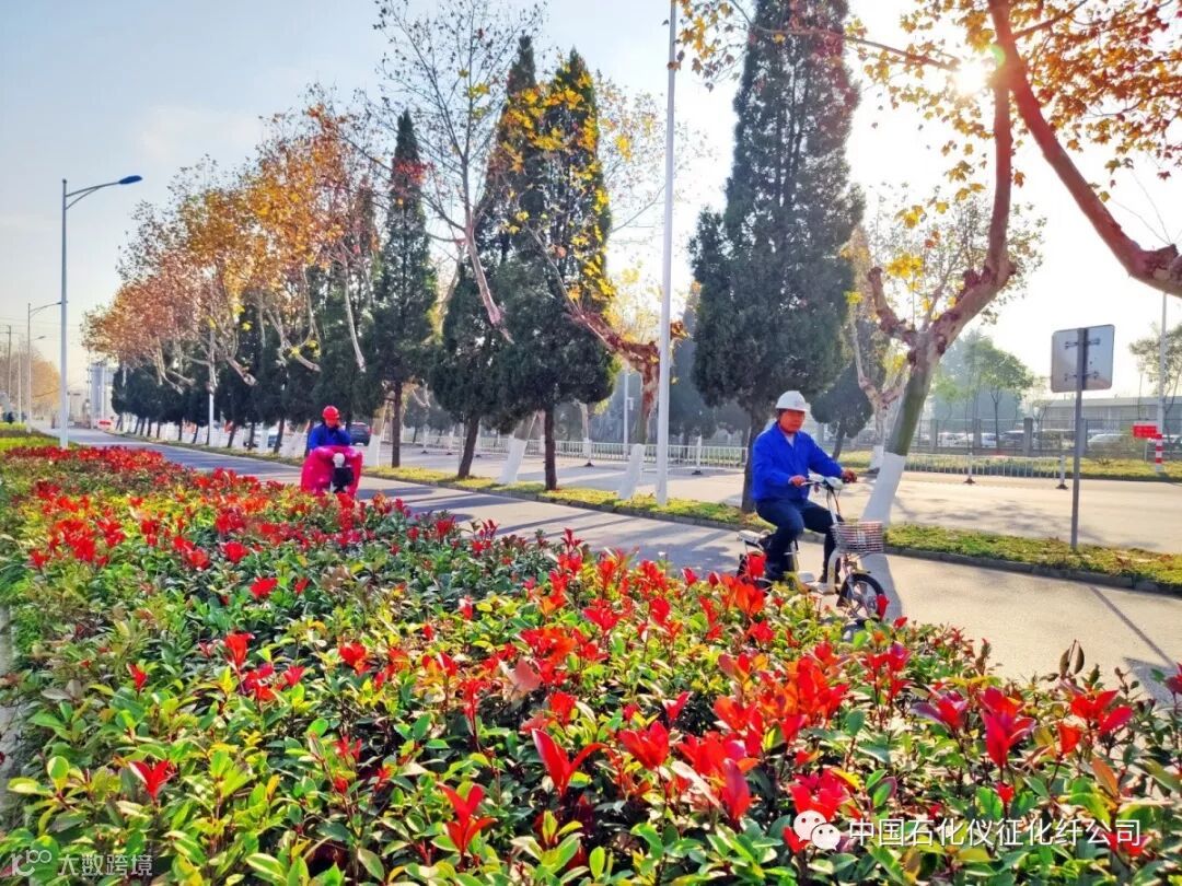 8aIMG_20191210 (74)_调整大小.jpg