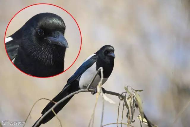 别总想着换器材 提高画质还有这几招_6_1