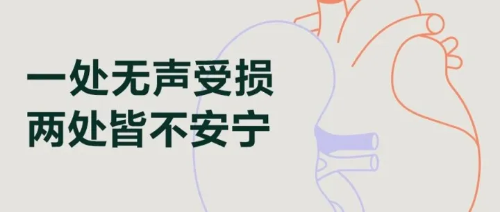 沉默的「肾」，为何会伤「心」？