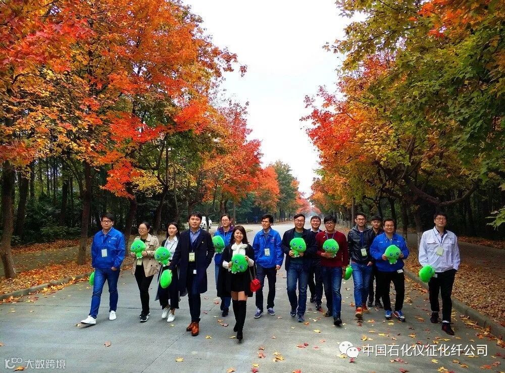 9aIMG_20171116 (169)副本_调整大小.jpg