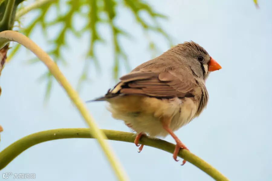 高ISO不是罪 4个善用高感光度的方法_4_1