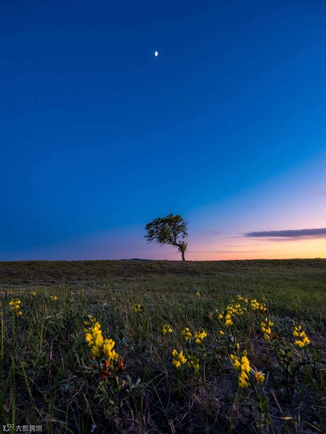 用一亿像素记录极致细节 富士GFX100SII风光摄影体验