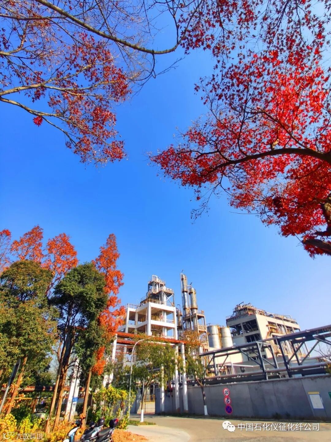 1aIMG_20191210 (1)_调整大小.jpg