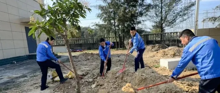 為綠色發(fā)展添新綠！廣西長科開展植樹節(jié)主題實踐活動