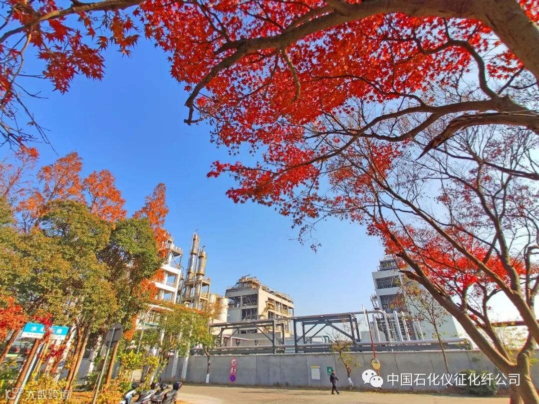 11aIMG_20191210 (521)_调整大小.jpg