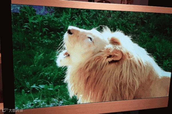 1 20160107_143134.0.0.gif