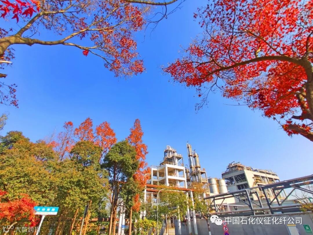 8aIMG_20191210 (531)_调整大小.jpg