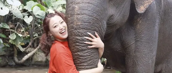 回顾·二月｜春节“爆改”计划：把中国年带到赤道以南，让世界看见