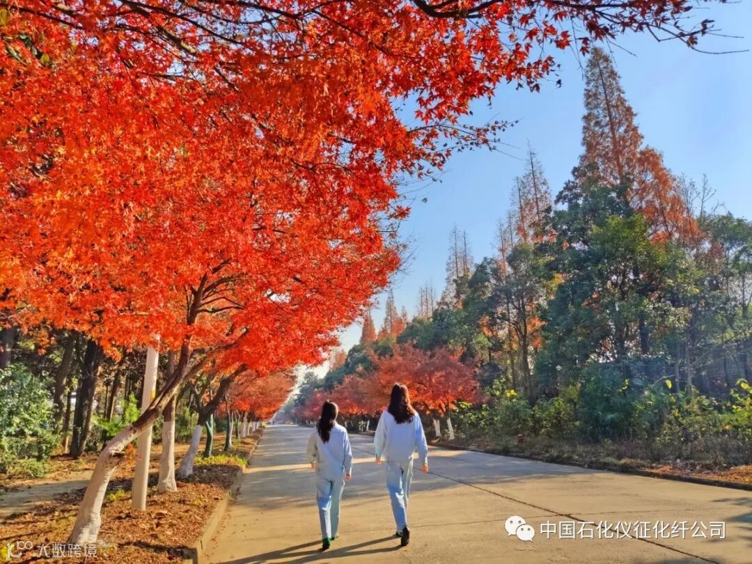 10aIMG_20191210 (452)_调整大小.jpg