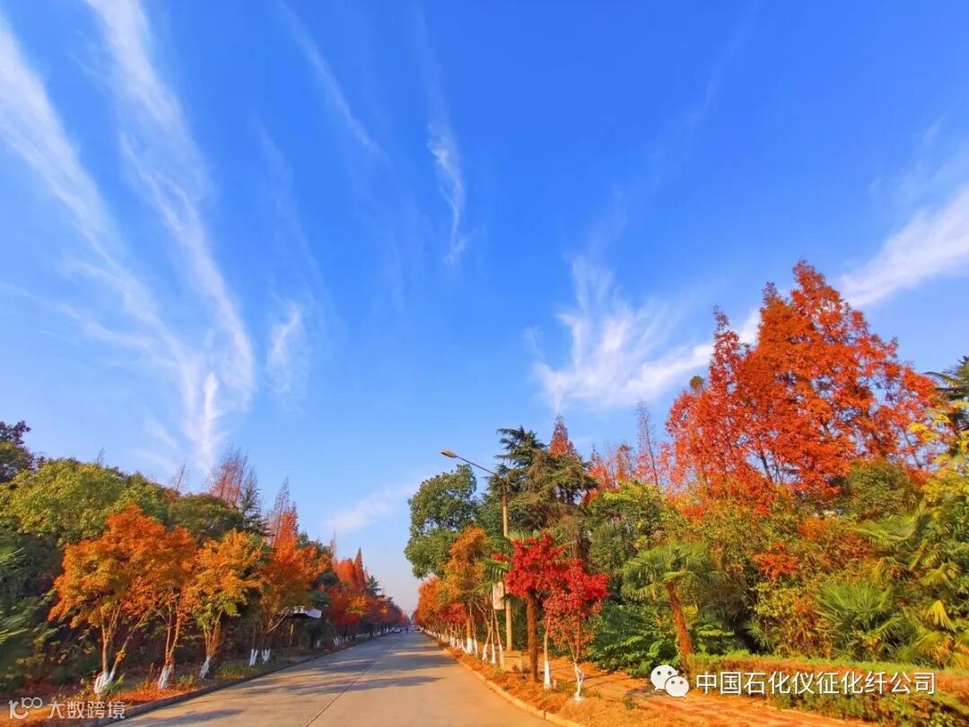 4aIMG_20191210 (123)_调整大小.jpg