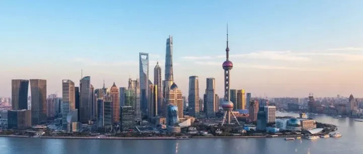 全球布局，浦东护航！解码中国企业出海 “新航道”｜真出海简报