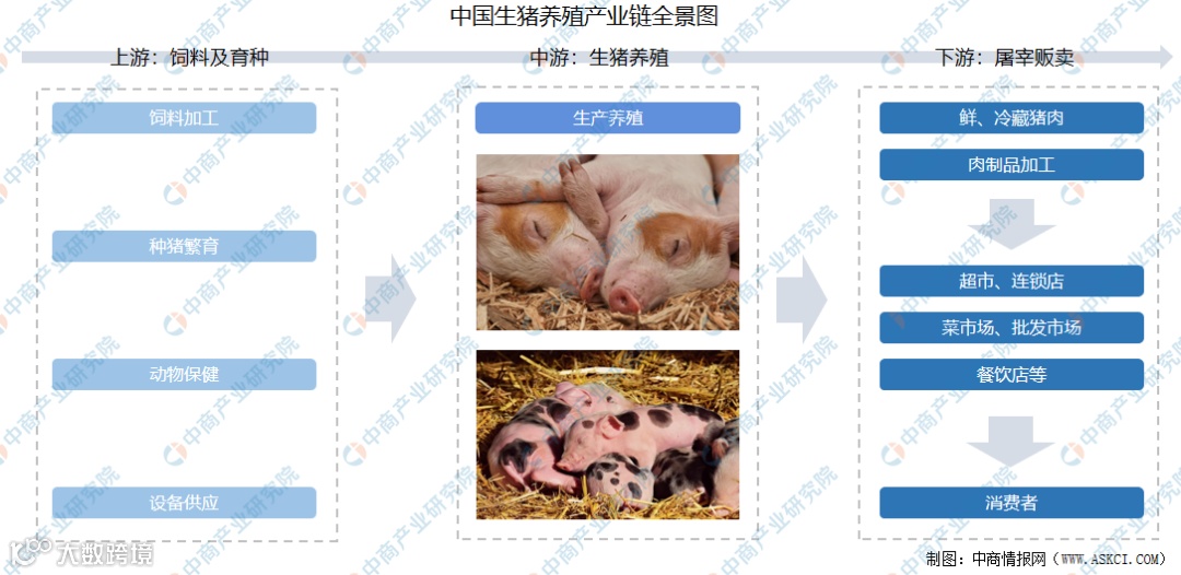 2021年中国生猪养殖产业链上中下游市场剖析（附产业链全景图）-中商情报网