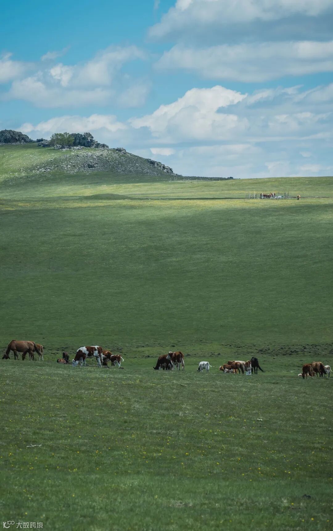 用一亿像素记录极致细节 富士GFX100SII风光摄影体验