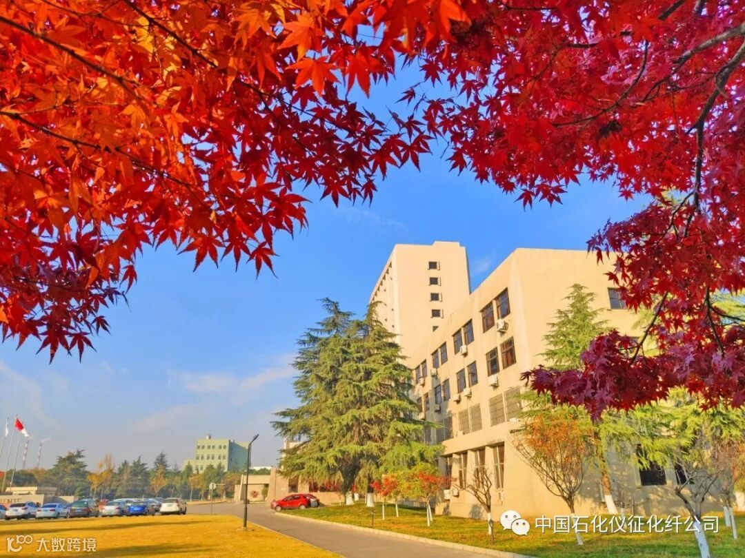 1aIMG_20191210 (5)_调整大小.jpg