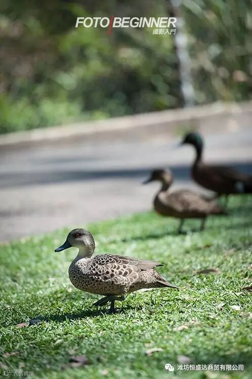 8个提升摄影功力的必备技巧