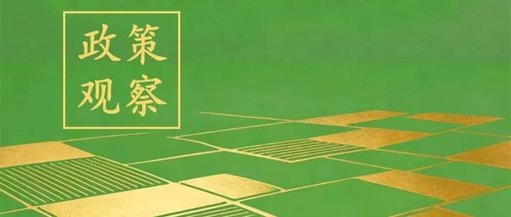 2026年中央財(cái)政“紅包”來了！16項(xiàng)惠農(nóng)政策發(fā)布，三大方向成“吸金王”
