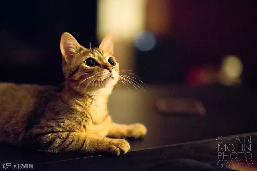 高ISO不是罪 4个善用高感光度的方法_3_1