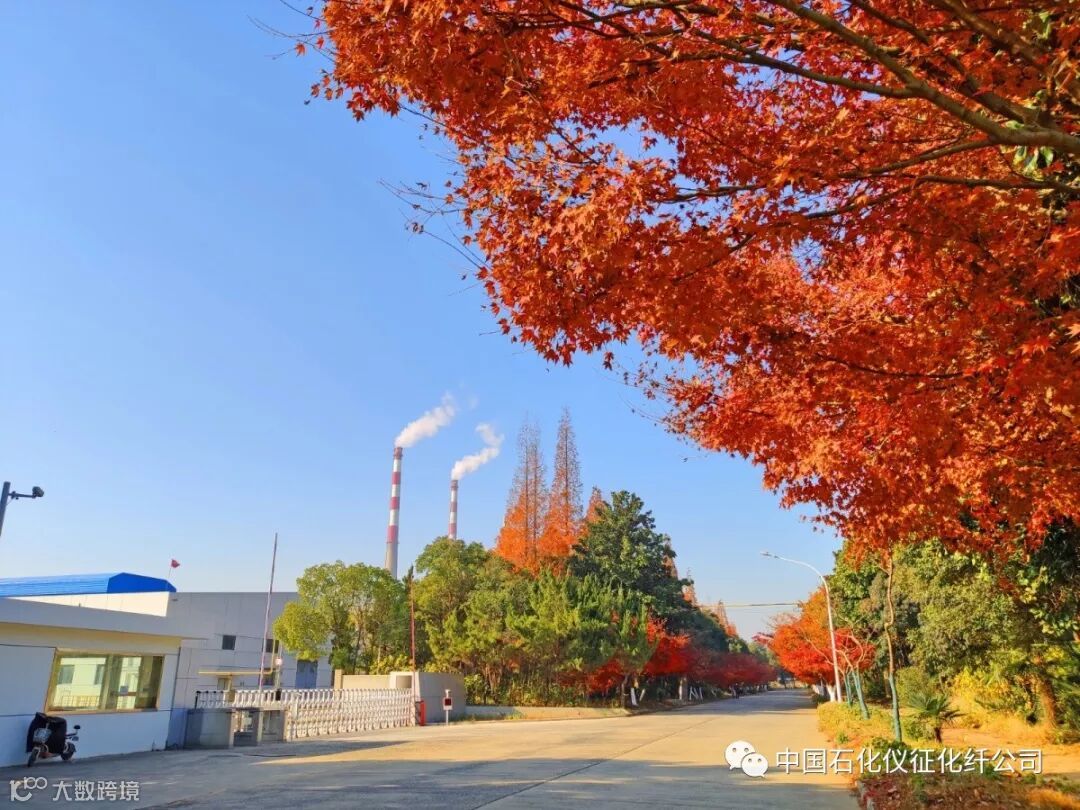 1aIMG_20191210 (373)_调整大小.jpg