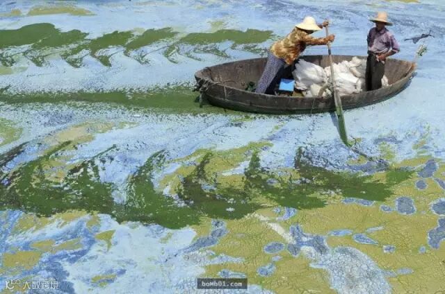 不必经过PS修图就足以让大家都赞叹的现实照片