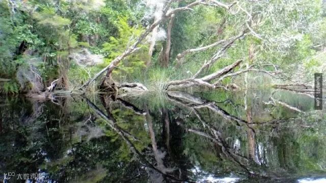 不必经过PS修图就足以让大家都赞叹的现实照片