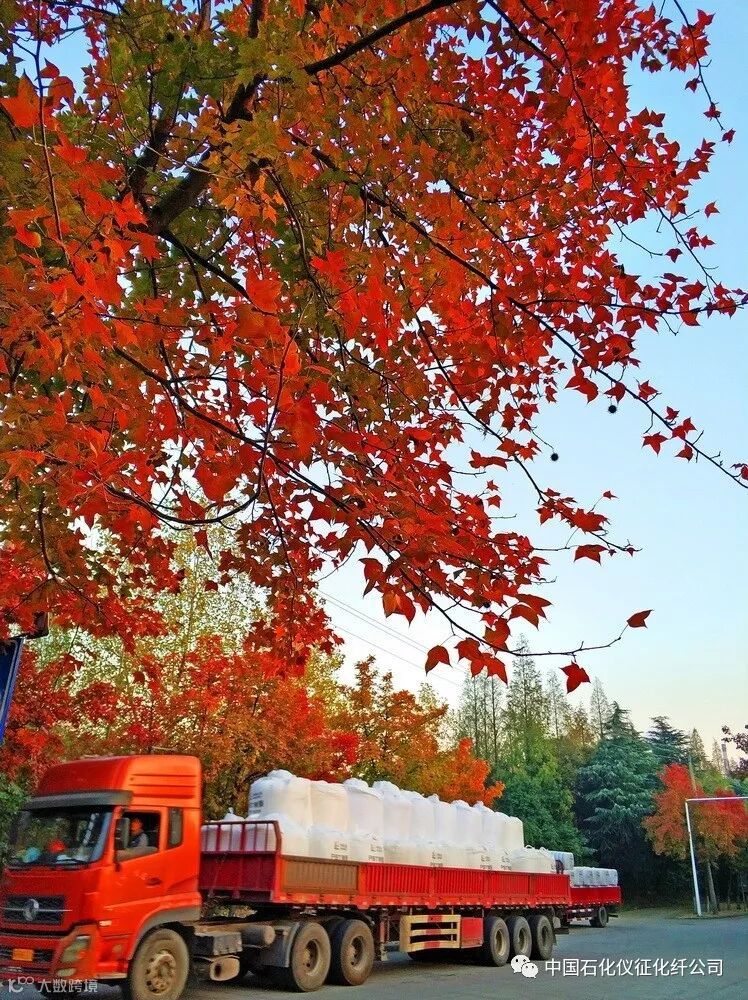 4aIMG_20171031 (400)副本_调整大小.jpg