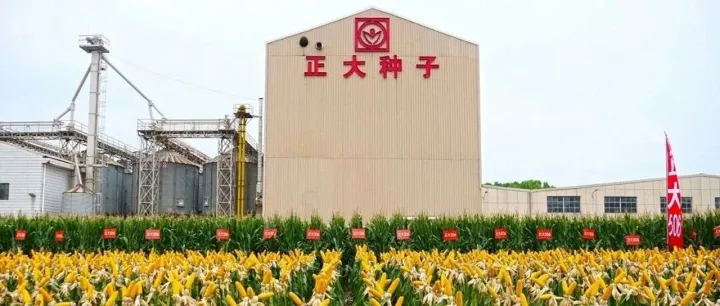近三年农业IPO首单！正大种业过会背后：种业破冰与外资样本