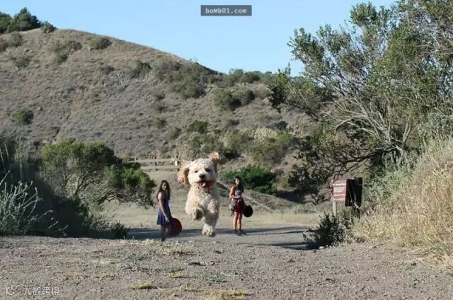 不必经过PS修图就足以让大家都赞叹的现实照片