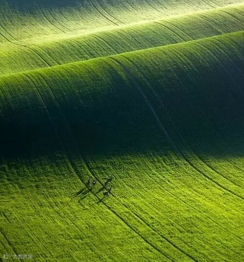 放弃无用 <wbr>摄影是减法的艺术 <wbr>(组图)