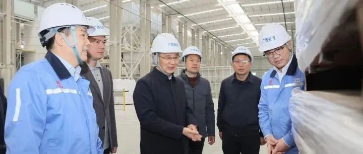 <em>賀州</em>市委書記李杰云到廣西長(zhǎng)鴻調(diào)研