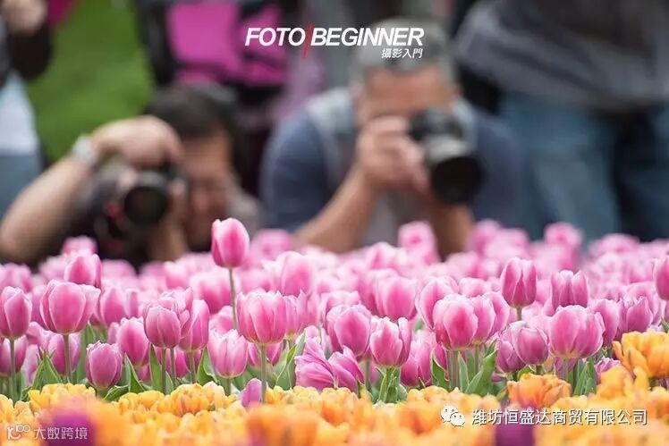 8个提升摄影功力的必备技巧