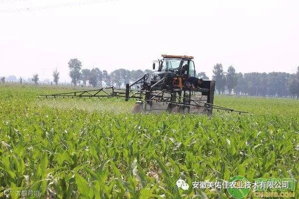 除草剂怎么使用效果最好?除草剂的选择及使用方法介绍