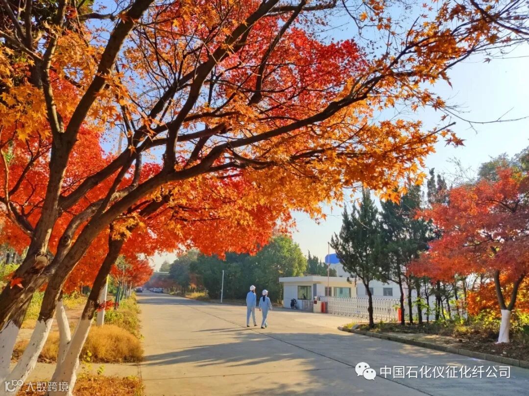 7aIMG_20191210 (430)_调整大小.jpg