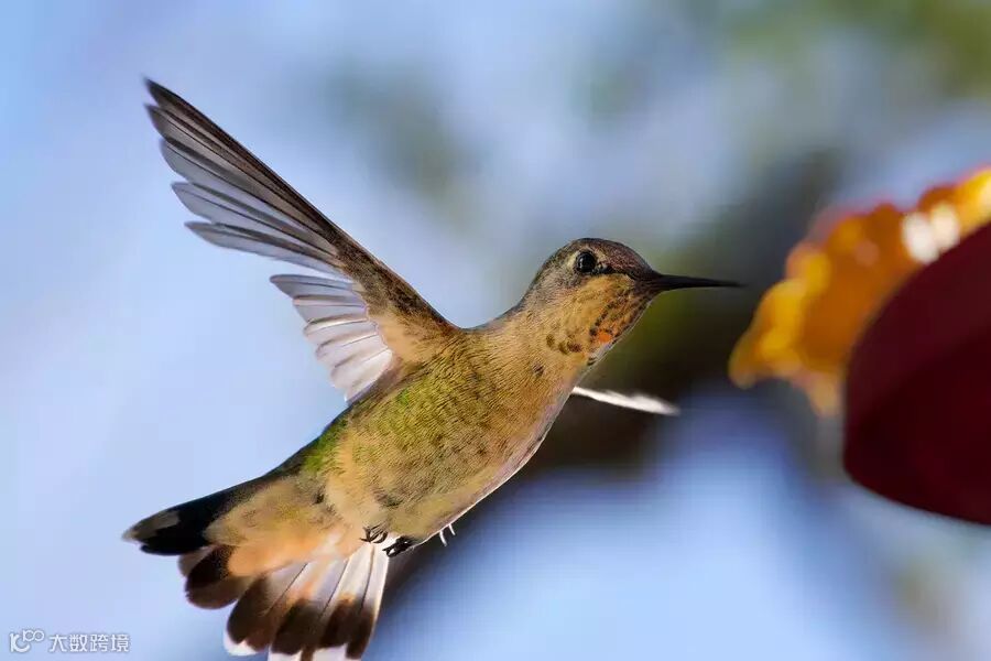 高ISO不是罪 4个善用高感光度的方法_1_1