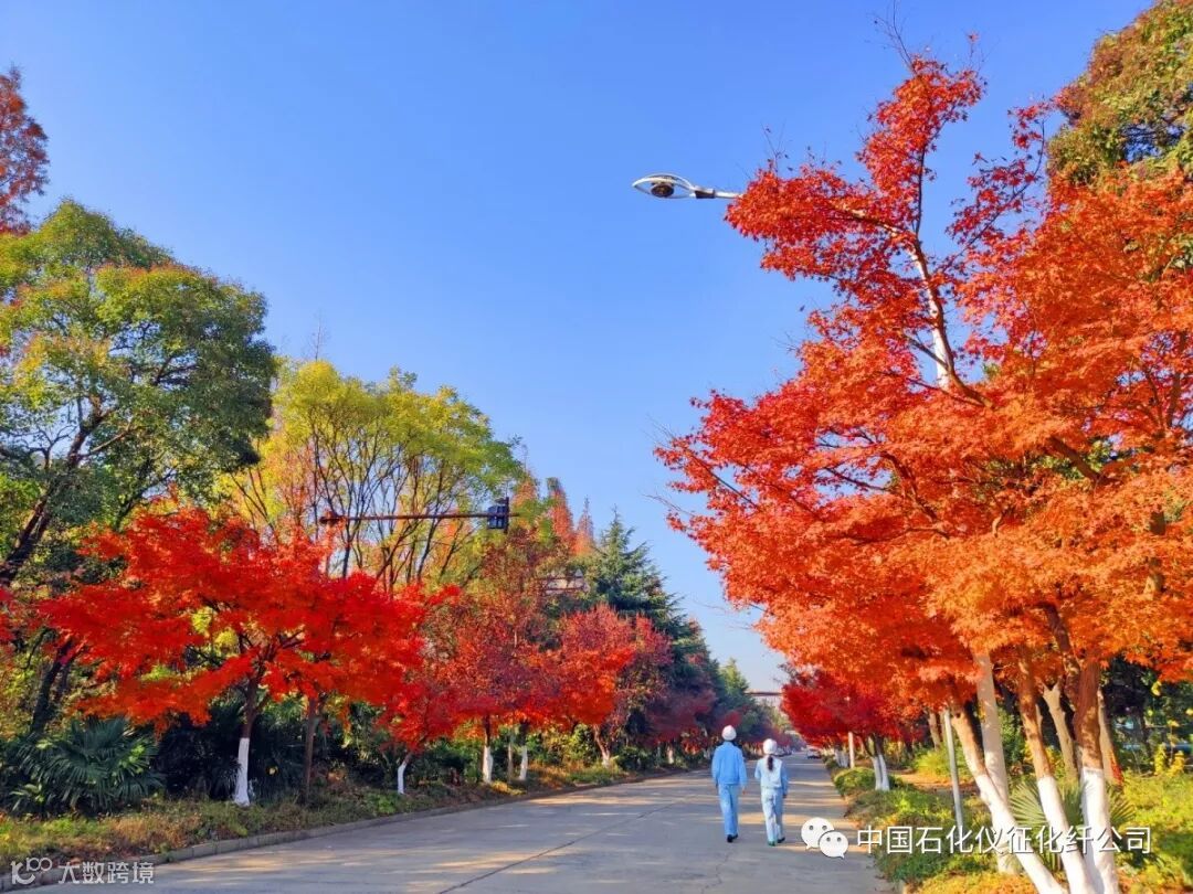 5aIMG_20191210 (259)_调整大小.jpg