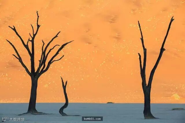 不必经过PS修图就足以让大家都赞叹的现实照片